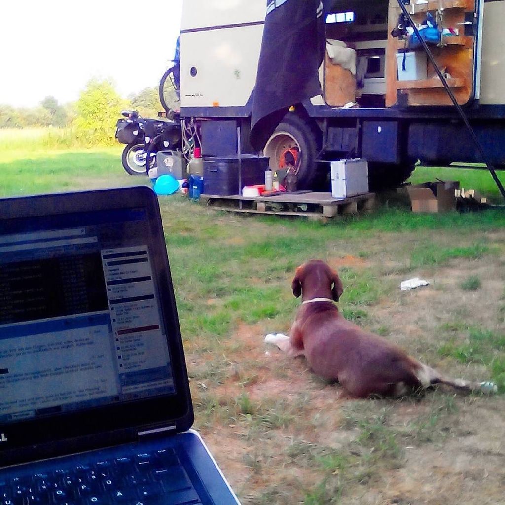 KeineEile's tweet image. #vanlife #vanlifemovement #vanwork #twitter #vanlove #vanlifediaries #vanlifeexplorers ift.tt/2ae9MJ0