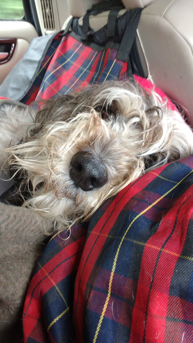 HalpinRebecca's tweet photo. Headed NE.just passed Inverness listening to radio programme bout cheese.hungry now! Missing mountains #bitflat :) https://t.co/i6eBzlpDMT