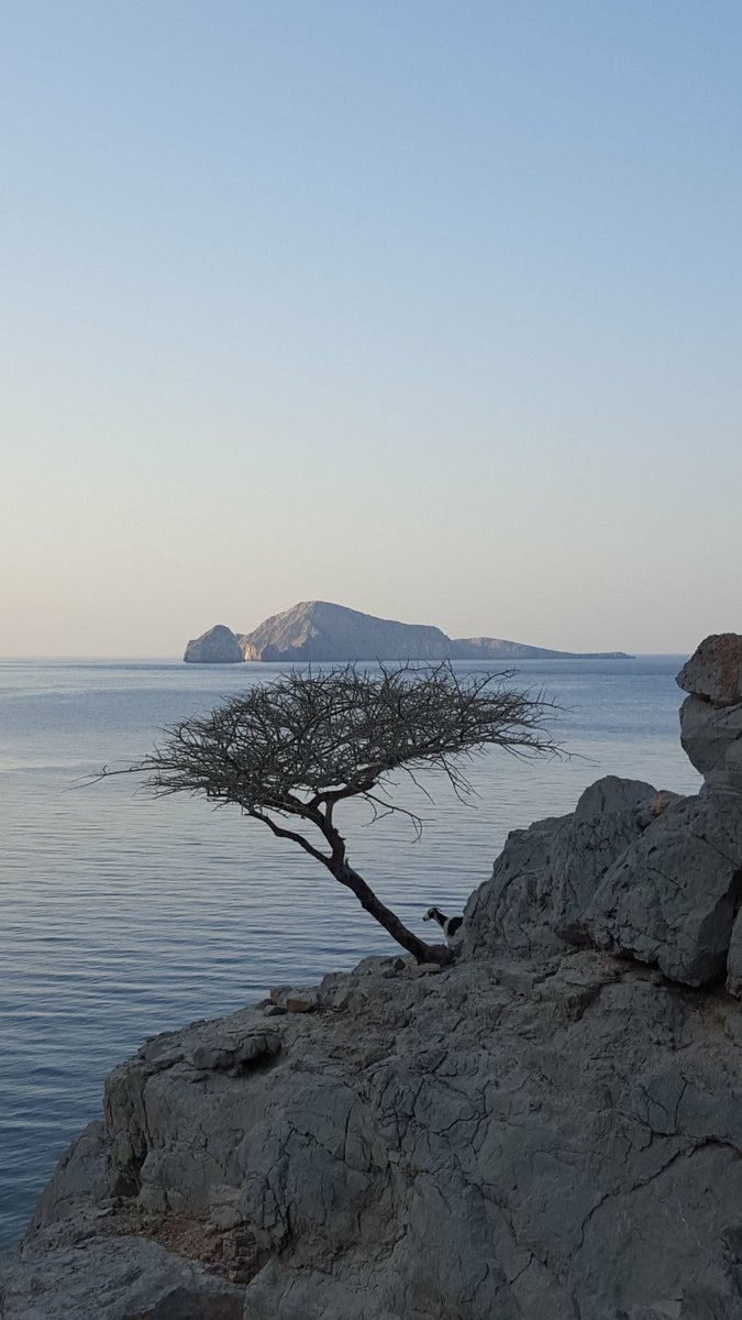 Fishing_Club_OM's tweet photo. كمزار القرية الساحلية الجميلة بمحافظة مسندم من أجمل المناطق البحريةفي السلطنة
منقولة عن:ولد الدار كمزار
@hassan81191 https://t.co/bwUxL0HuZN