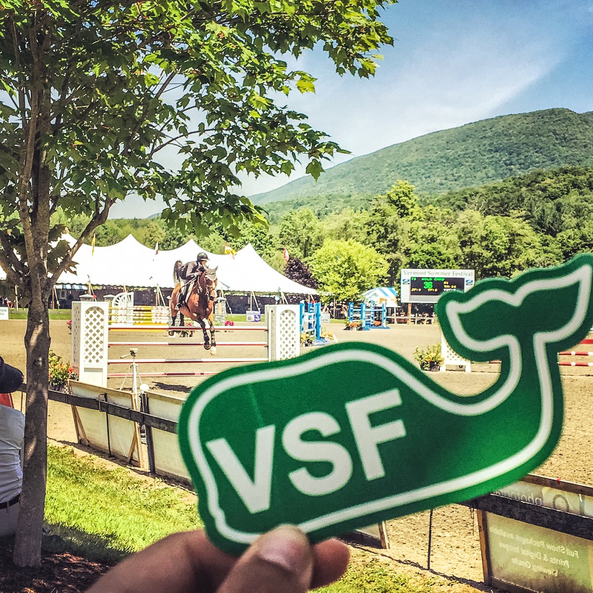 vineyardvines's tweet photo. Looking forward to the #VermontSummerFestival this weekend! Best of luck to everyone competing! 🏇🐳 #EDSFTG https://t.co/85i6z2iOoG