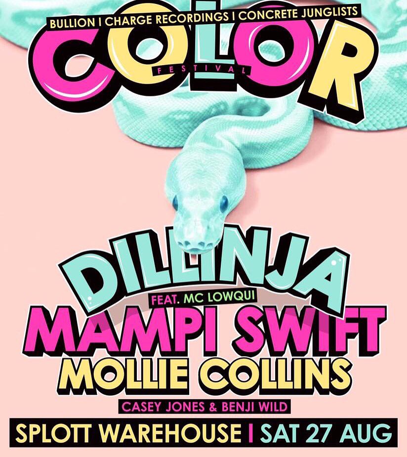 molliecollins's tweet image. Color Festival, Cardiff 😵🔊 ft @mampi_swift / @DillinjaValve / @iambenjiwild / @concjunglists