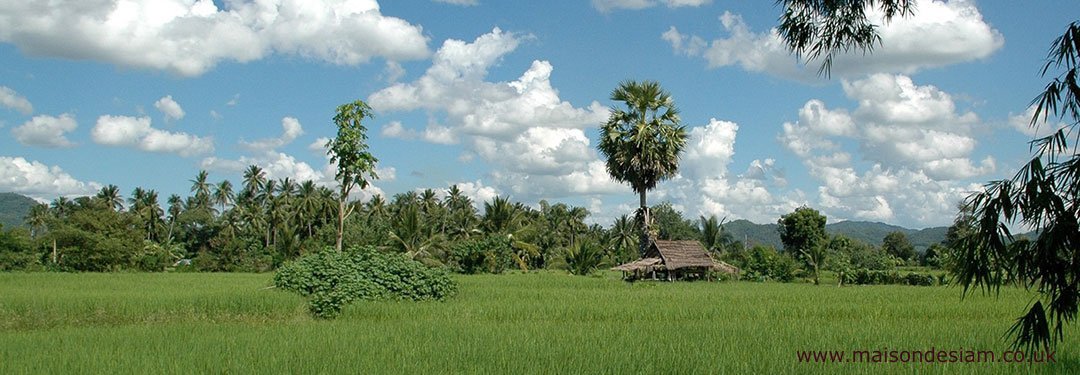 MaisondeSiam tweet picture