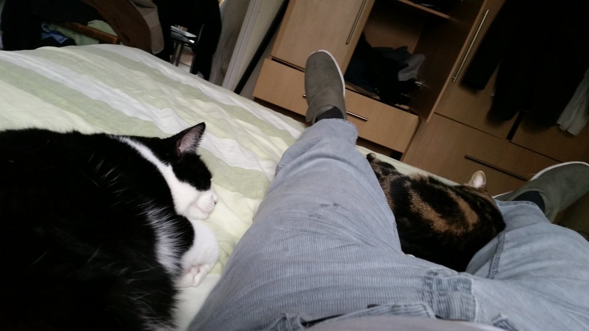 WattersonW's tweet image. 