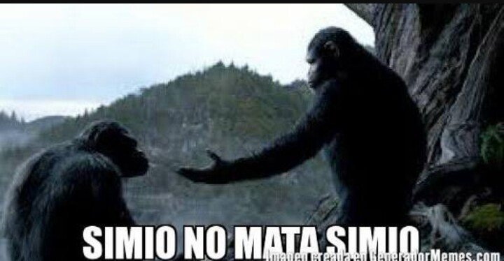 OaxacoMx's tweet photo. Cuando te encuentras ligando en la feria del mezcal al novio de tu amiga: https://t.co/eEkErUQicl