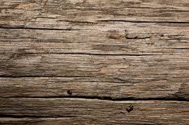 park_fc1's tweet photo. That's a nice bit of WOOD Isn't it? #pfc https://t.co/Tai1dy8uGq