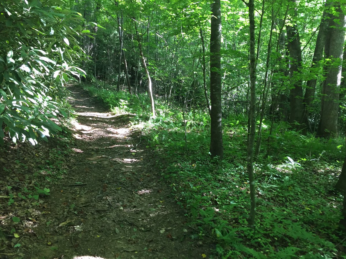 TrailRaces's tweet photo. Escape the heat. #springmaidsplash #trailraces It's worth it! @rungeorgia @FleetFeetATL @ATLtrackclub mitchellraces https://t.co/pvBXvRLNie