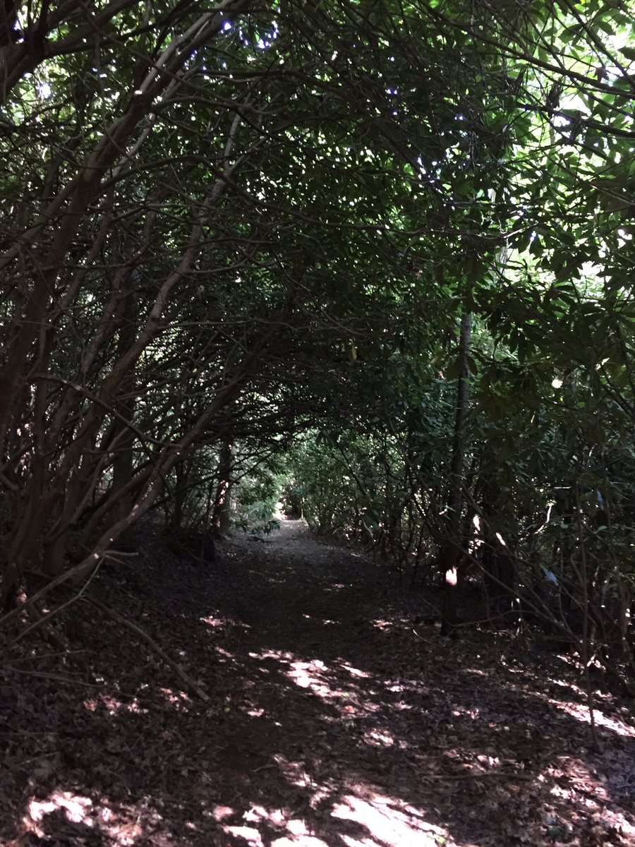TrailRaces's tweet photo. Escape the heat. #springmaidsplash #trailraces It's worth it! @rungeorgia @FleetFeetATL @ATLtrackclub mitchellraces https://t.co/pvBXvRLNie