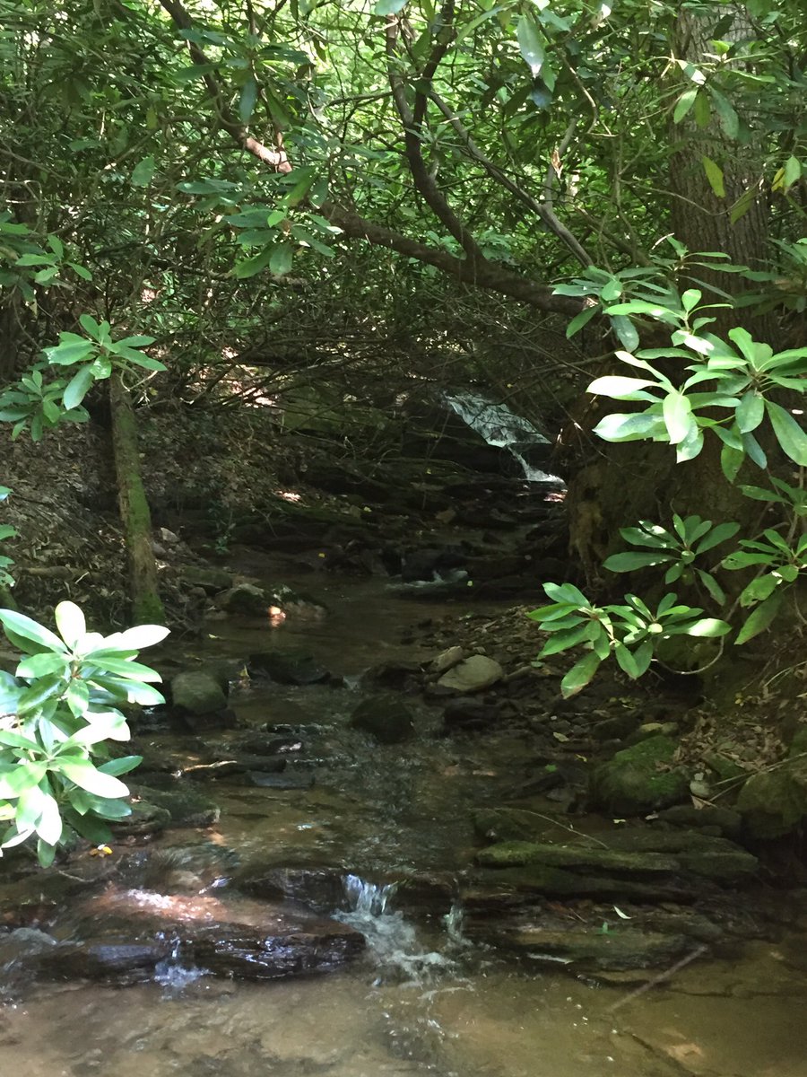 TrailRaces's tweet photo. Escape the heat. #springmaidsplash #trailraces It's worth it! @rungeorgia @FleetFeetATL @ATLtrackclub mitchellraces https://t.co/pvBXvRLNie