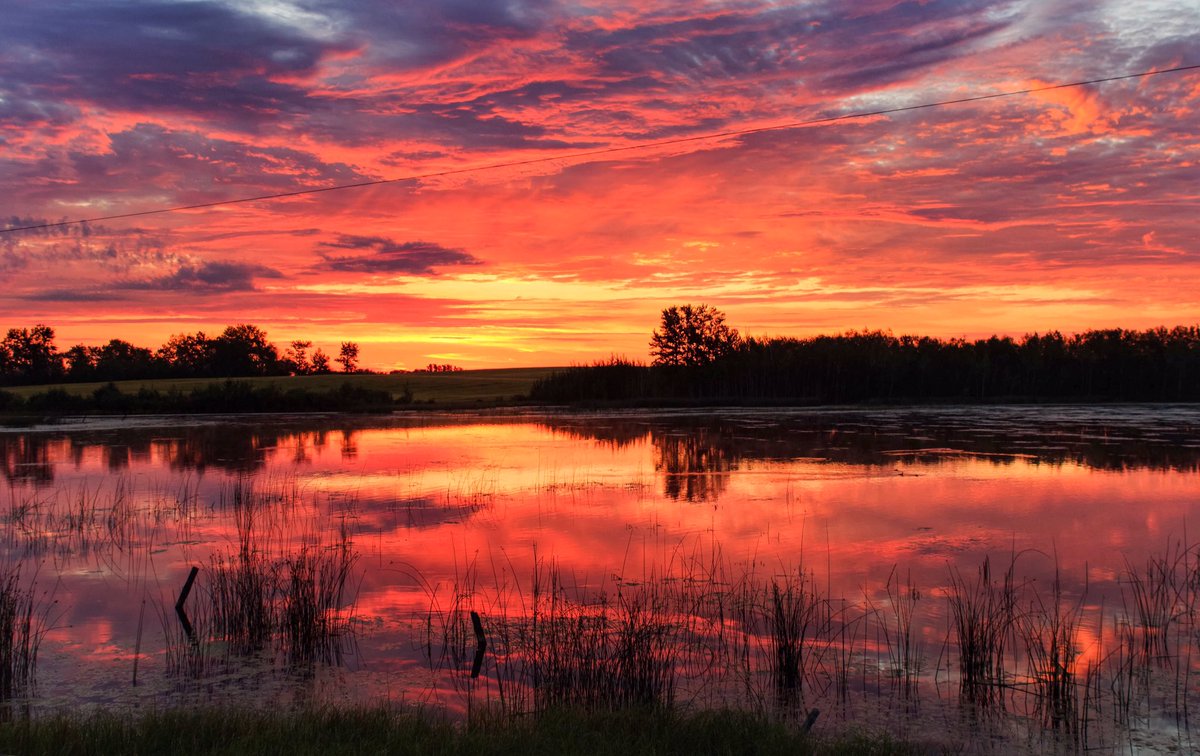 Good morning from Alix Alberta! #wx #sunrise #shareyourweather <a href="/weathernetwork/">The Weather Network</a> <a href="/SeanSchofer/">Sean Schofer</a>