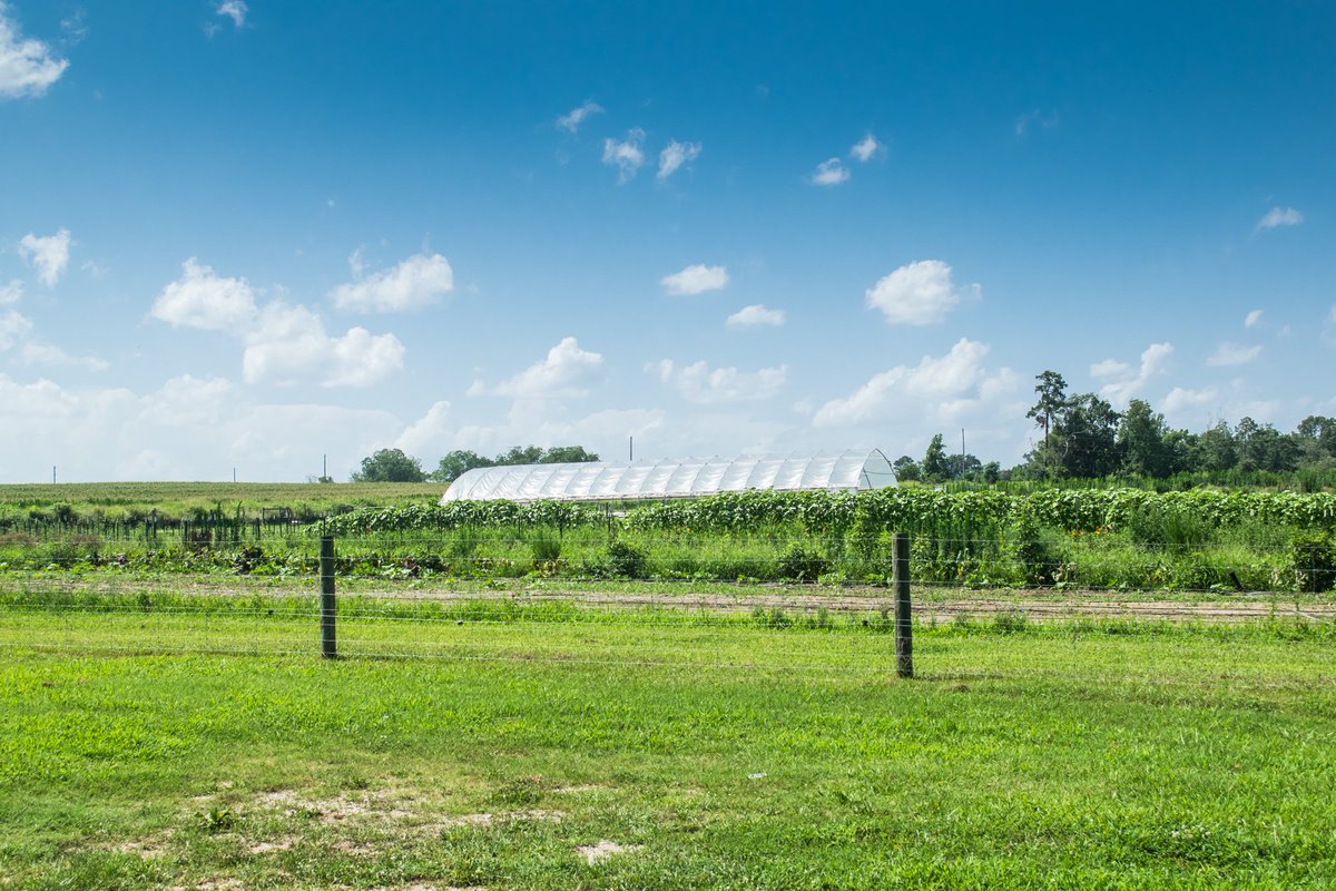 NCStateEduFarm's tweet photo. Another beautiful shot from the farm. We love it! https://t.co/ZapMKXxjI0