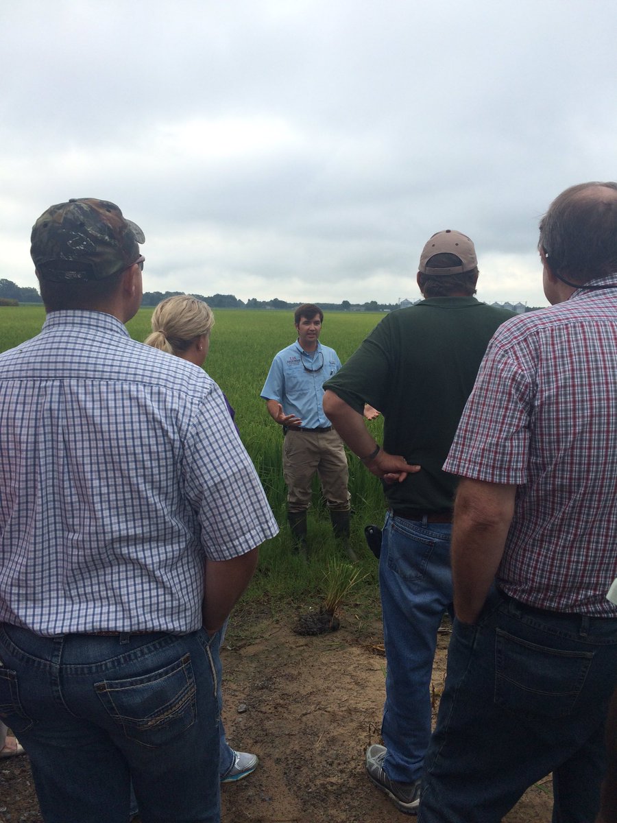 CBokker's tweet photo. @JHardke giving an update on Arkansas rice to #countyagents on the #NACAA2016 Rice Tour https://t.co/yF74fX3hdW