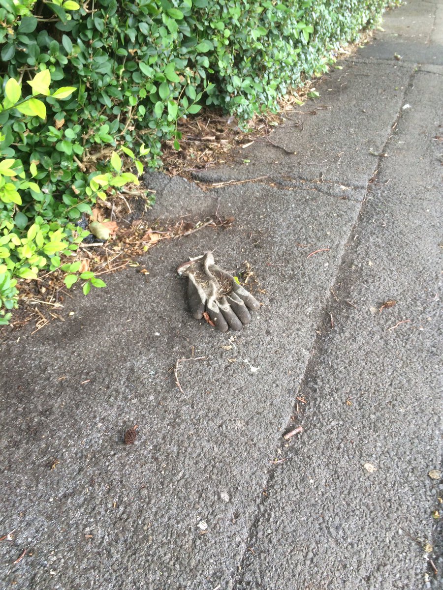 GloveDrop's tweet photo. @GloveDrop spotted this lonesome fella... Needs rescuing! @keirleyfry https://t.co/wciQd9vbs8