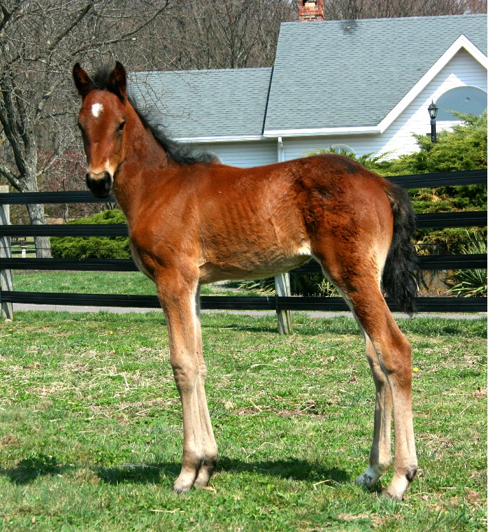 TheMeadowlands's tweet photo. #TBT Contest! Who's this #Hambo16 eligible as a cute little baby? One correct winner will receive a #Pace16 tshirt https://t.co/K10b0AayCL