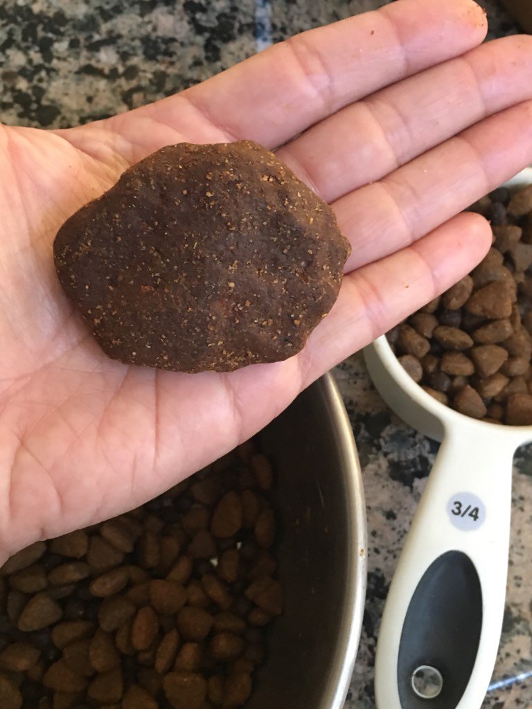 natg's tweet photo. Found a @bluebuffalo flavor biscuit in our bag this morning. Bet Gingi and Coco would love to devour this! https://t.co/DCu5kP4gKl