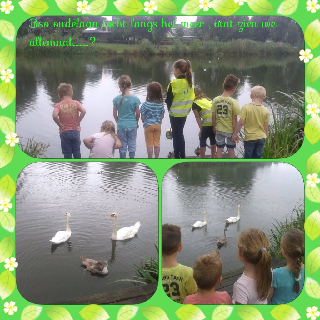 #natuur #ontdekken #bsooudelaan