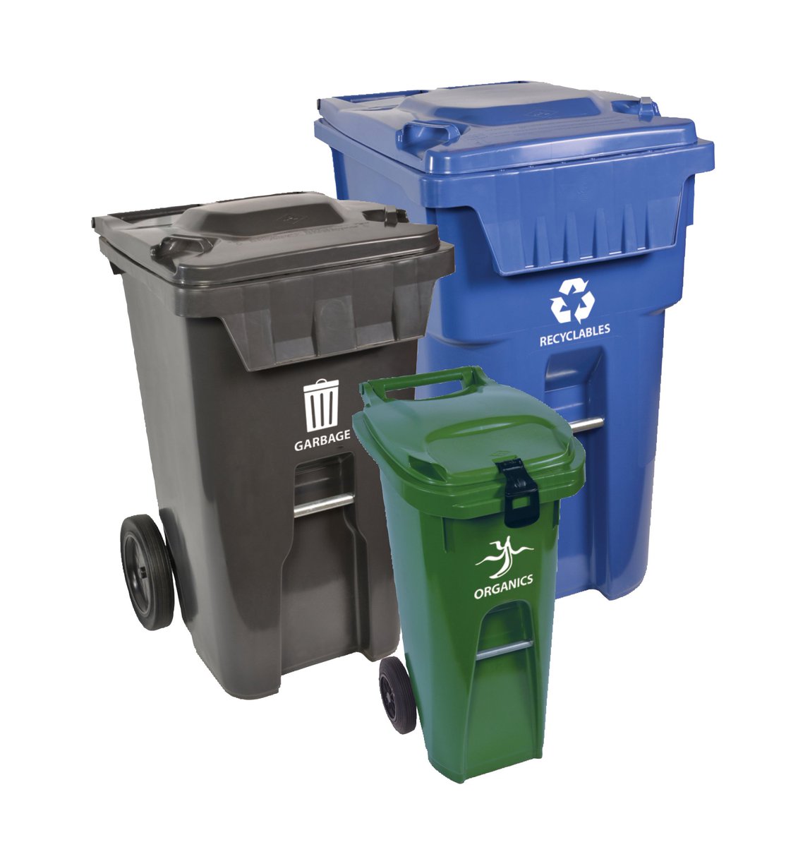 cityofguelph's tweet photo. Are you sorting your waste correctly? Learn what goes in each cart. Try Sort Right https://t.co/PEzkuP5IR4 https://t.co/CGKpnLbLEx