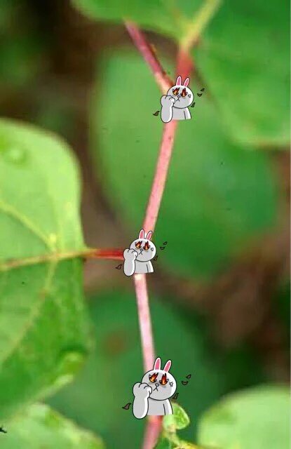 polamagsino's tweet image. KUNG DI MO ORAS PEDE WAG KA MAGBUKAS #beastnode