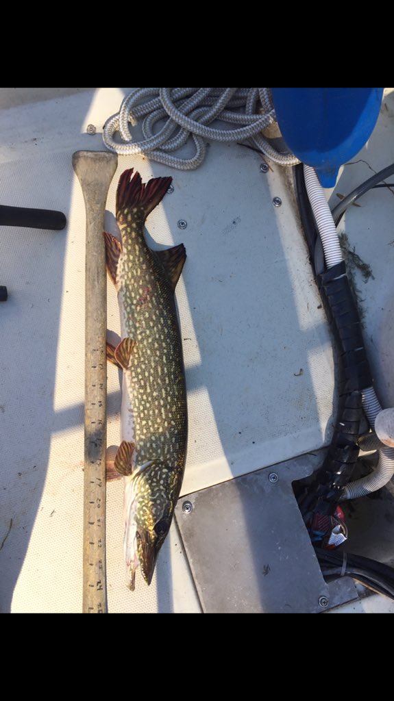 John Rath on Twitter: 