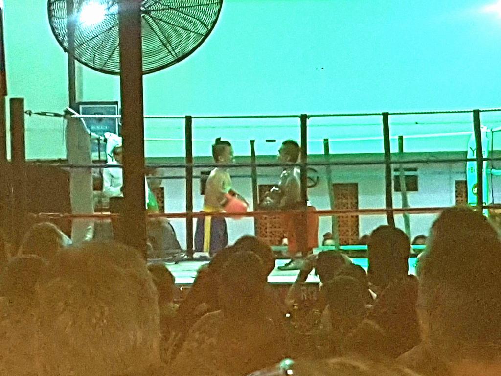 staners23's tweet photo. @hoskin_gary @countingcrowsds @RyanLeys @MattMonas @Leighmcilroy Midget boxing,this is fantastic.#sotiny #tinygloves https://t.co/s679jWpDI1