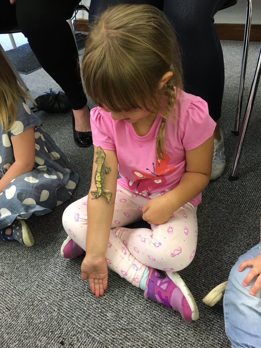 WiganLibraries's tweet photo. #curiouscritters at busy #Standishlibrary now! All sorts of animals  @WiganCouncil #summerevents @WiganMuseum https://t.co/4k3BtJzvpo