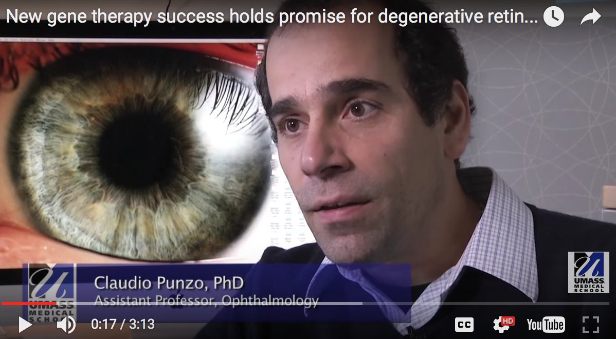 Punzo Lab tweet media