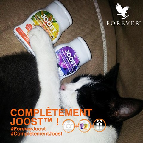 planetaloe's tweet photo. C'est l'effet JOOST��! 
#ComplètementJoost #foreverliving https://t.co/v0QiZtRGV9
