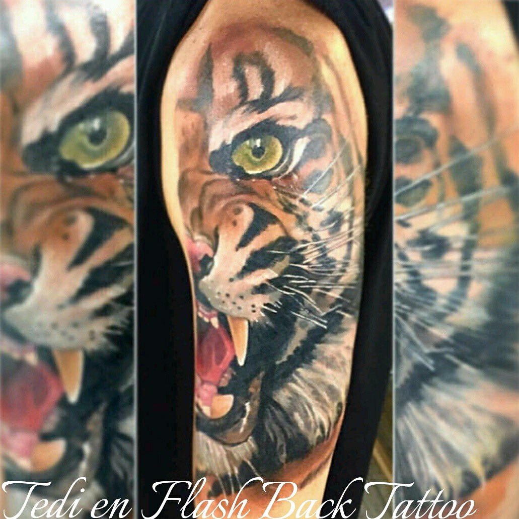 tattooflashback's tweet photo. Trabajo de @tedi_skfworx en #flashbacktattoo #tigertattoo #tiger #tigre #flashbacktattoo #tattooflashback https://t.co/lIiIi5imFW