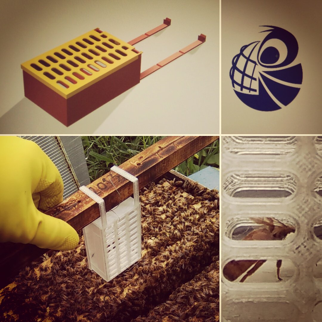 Imprimum_Design's tweet photo. imprimum_designWasp VS Queen Bee! #imprimum #wasproject #Bee #stampa3d #3dprint #apicoltura @3Dwasp
Mi piace https://t.co/6tdFBOh40L
