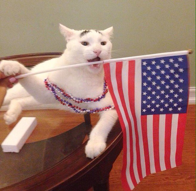 Samhaseyebrows's tweet photo. Make #america delicious again! #trump #clinton #ohdear #tbt https://t.co/EnztXrQhyW