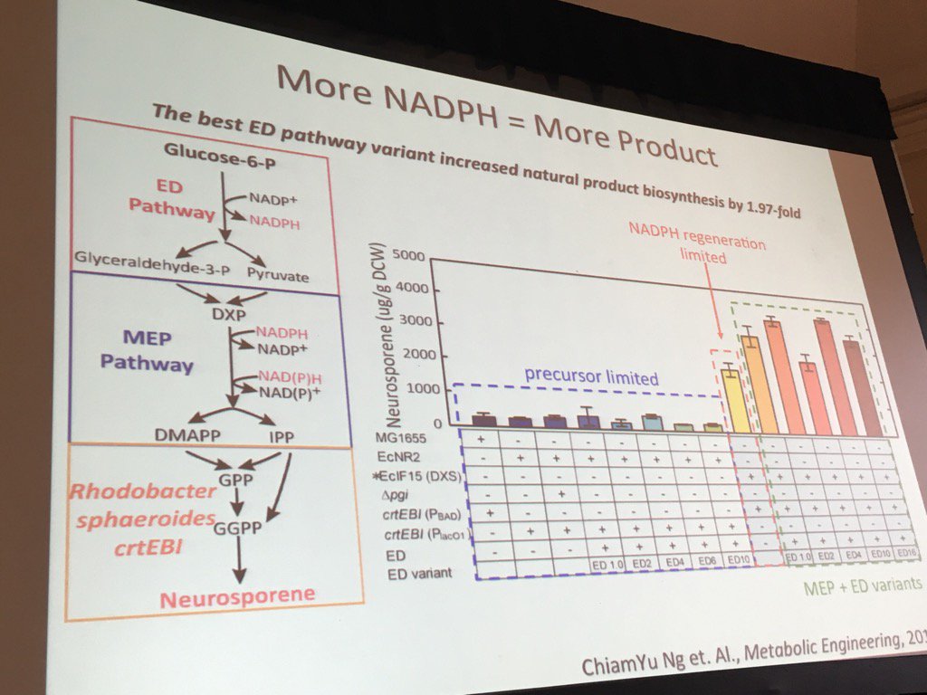 OmicsOmicsBlog's tweet photo. Salis #SIMBAM2016 improved terpene titer via boosting NADPH regeneration https://t.co/BM1Fm3ipWY