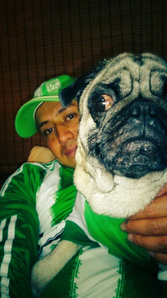 freddyjhon1685's tweet photo. @Tropibogota #animals @AnimalsCol hola buenos días quisiera ganar para darle un buen regalo a mi perro(mailo) gracia https://t.co/p9mwe4u0Kn