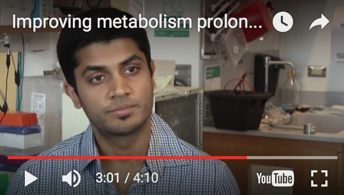 Punzo Lab tweet media