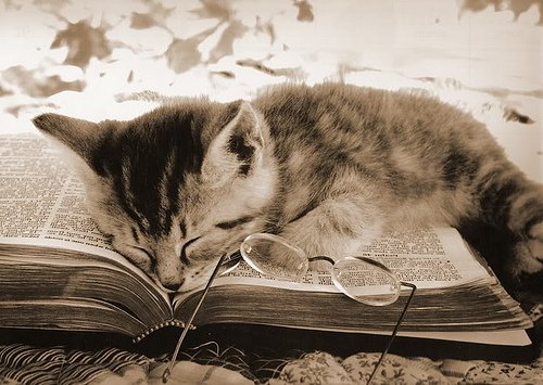gailbrdnlibrary's tweet photo. #IfYourDayIsBadAlwaysRemember there's always a #book at home waiting to be #read!

#BookAddict #Reader https://t.co/xxOA1IWoKj