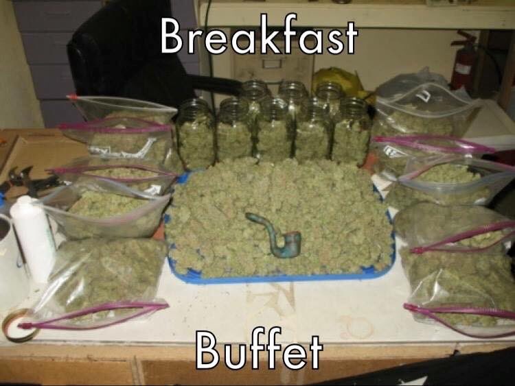 WorldOpenMinds's tweet photo. Dense que hay buffet
   #Cannabis #CuatroVeinte #Breakfast #Marihuana
  ✖️OpenMinds✖️ https://t.co/nXYm35Po0l