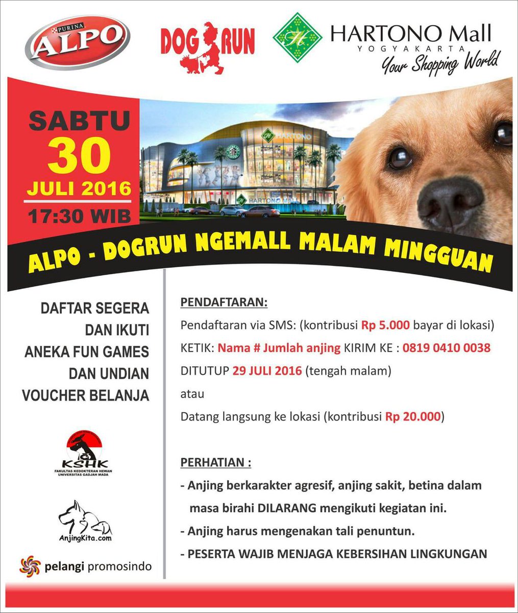 pelangi promosindo tweet media