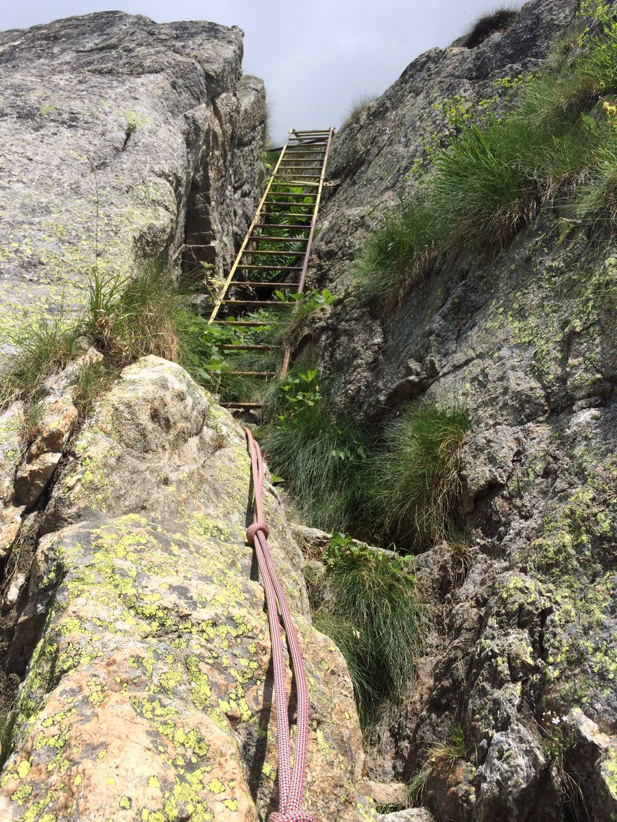360climb's tweet photo. Insomma, è proprio ripido sto sentiero ☺️ #rifugioboccalatte #grandjorasses https://t.co/iruwMUSmjP