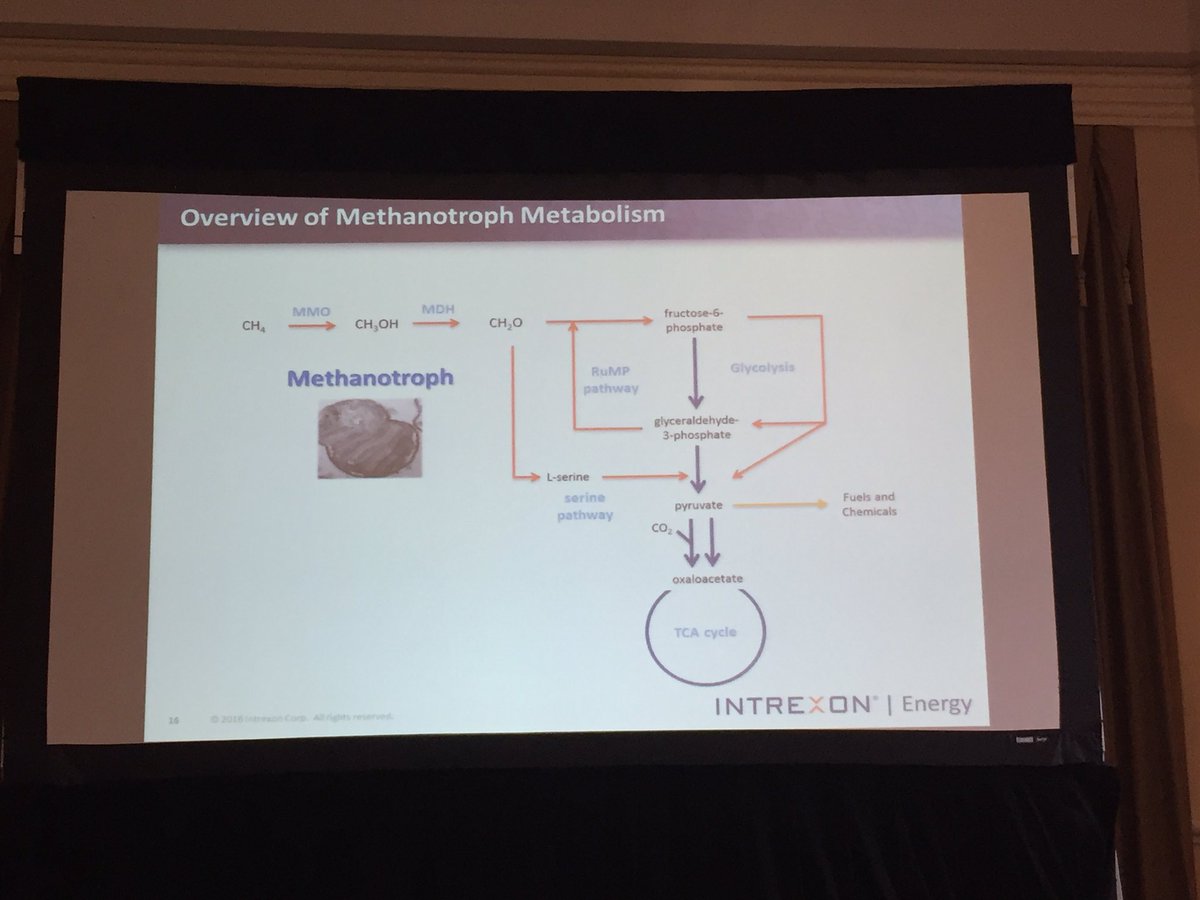 ZymoChem's tweet photo. @Intrexon on how methane is fixed by their methanotroph #SIMBAM2016 https://t.co/dn5wK1v2Rp