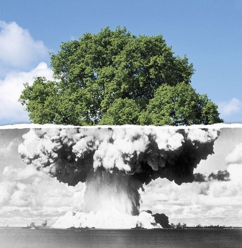 Savaşın iyisi, barışın kötüsü yoktur.

Benjamin Franklin