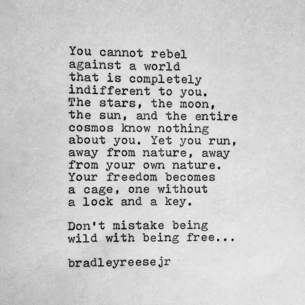 thelastlasker's tweet photo. Wild & Free
.
.
.
#poem #poetry #poetryofinstagram #poetryporn #wordswithqueens #wordswith… https://t.co/IWwEKptjES https://t.co/3iwO8sU0lJ