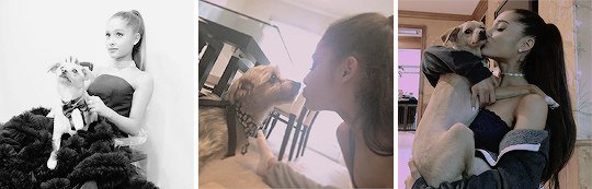 crystalari's tweet photo. 1 rt = 1 vote #FanArmyFaceOff #Arianators https://t.co/xvgnP8yljU
