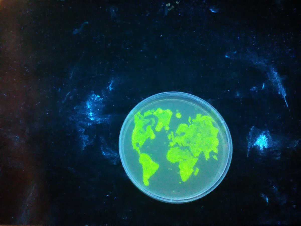TCDiGem's tweet photo. Sharing the secrets to our BioArt with @iGEM_Cardiff Living paints spreading around the world ! https://t.co/i2o9KIDAoB