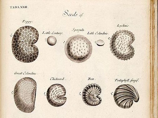 How do we bring transparency to investing? The Anatomy of a Seed Deal: medium.com/@tristanwatson…