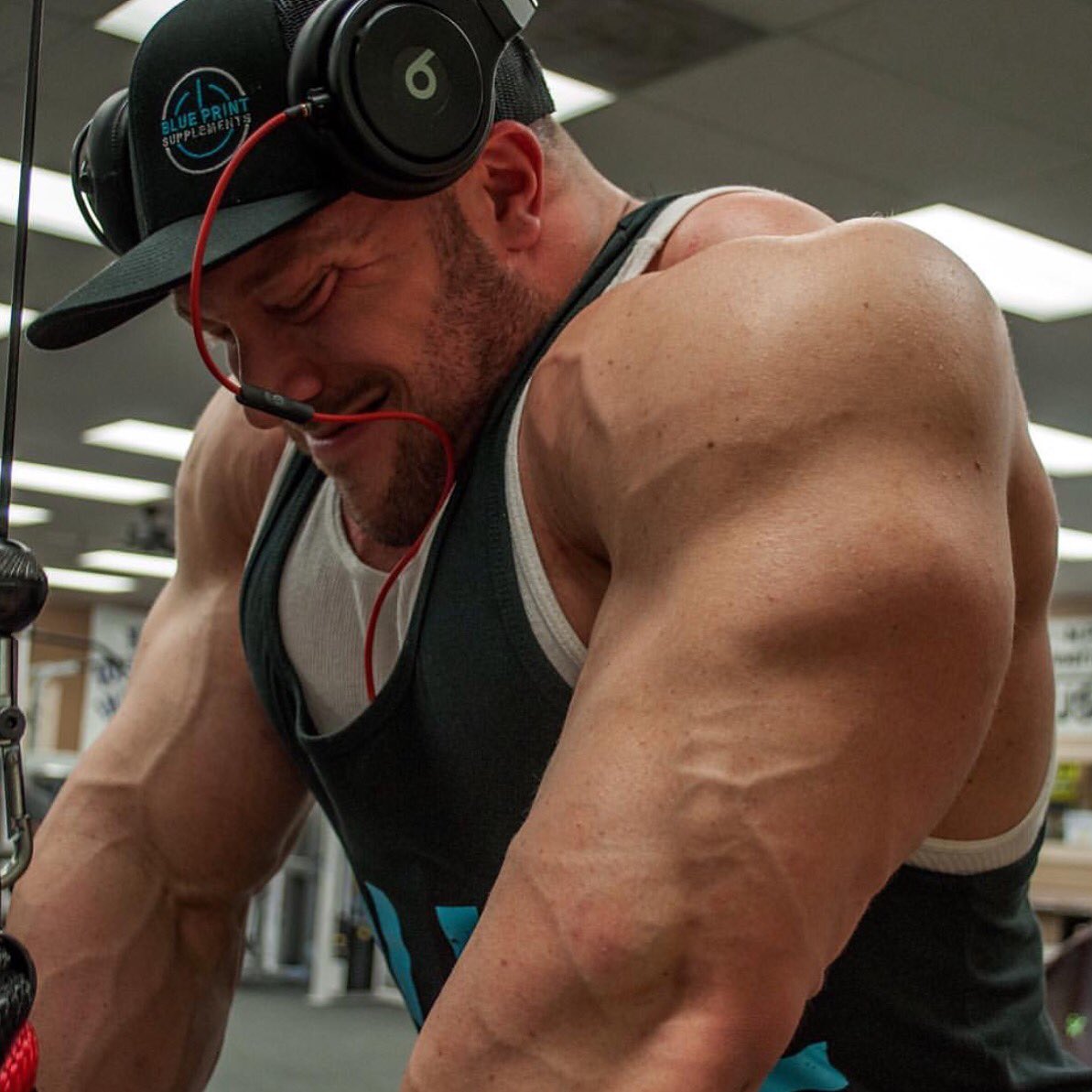 BPSUPPS tweet picture