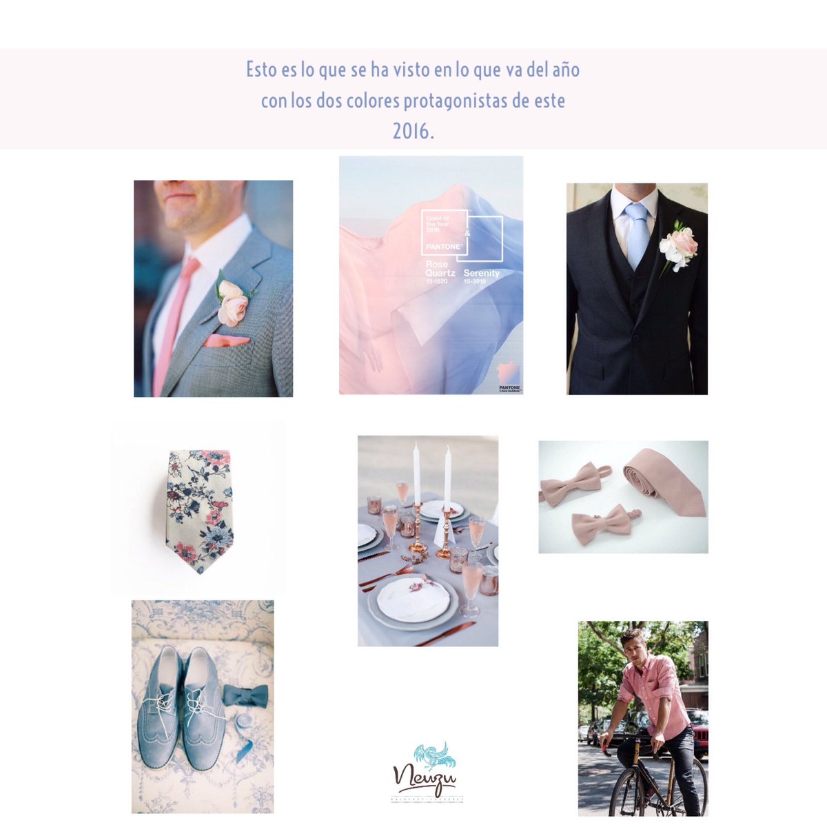 Neuzu's tweet photo. ¿Has hecho compras en alguno de estos dos colores? #image #pantone #rosequartz #blueserenity #ReinventYourself https://t.co/CesKeRr8sd