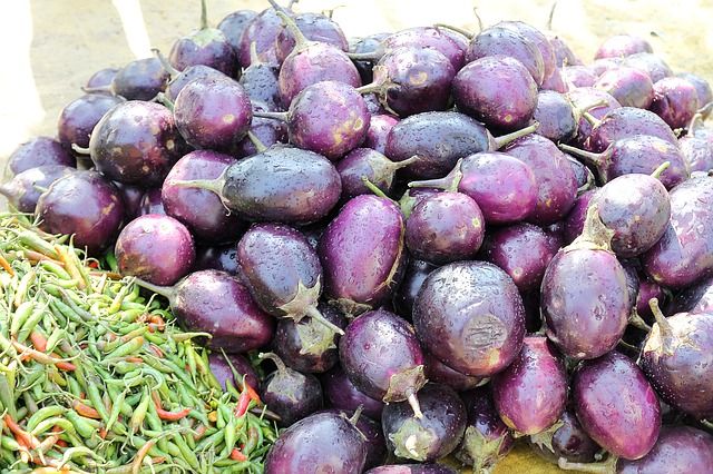 RajpootBath's tweet photo. Eight food items that are native to India https://t.co/EEc4nVn3ef https://t.co/oc5uEBjWrD