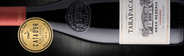 VSPTWineGroup's tweet photo. Gran Reserva Tarapacá won Gold Medal in @CatadorSantiago 2016! Cheers! Thanks @LaBuenaViday https://t.co/oBQCJIha4R https://t.co/om4BMWh5sJ