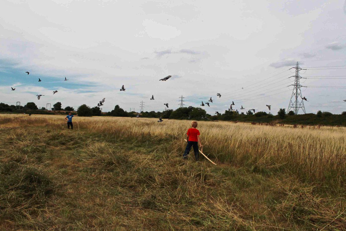kathrin_b_'s tweet photo. @HaystacksE17 this weekend - read about the 2015 #CommunityHaystack @thegentleauthor  https://t.co/mPM03J3RJQ https://t.co/igSoVDjToe