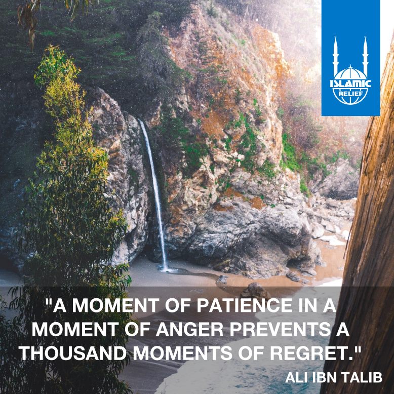 IRWorldwide's tweet photo. #ThursdayThoughts "A moment of patience in a moment of anger prevents a thousand moments of regret." - Ali Ibn Talib https://t.co/OfiLhFtjuf