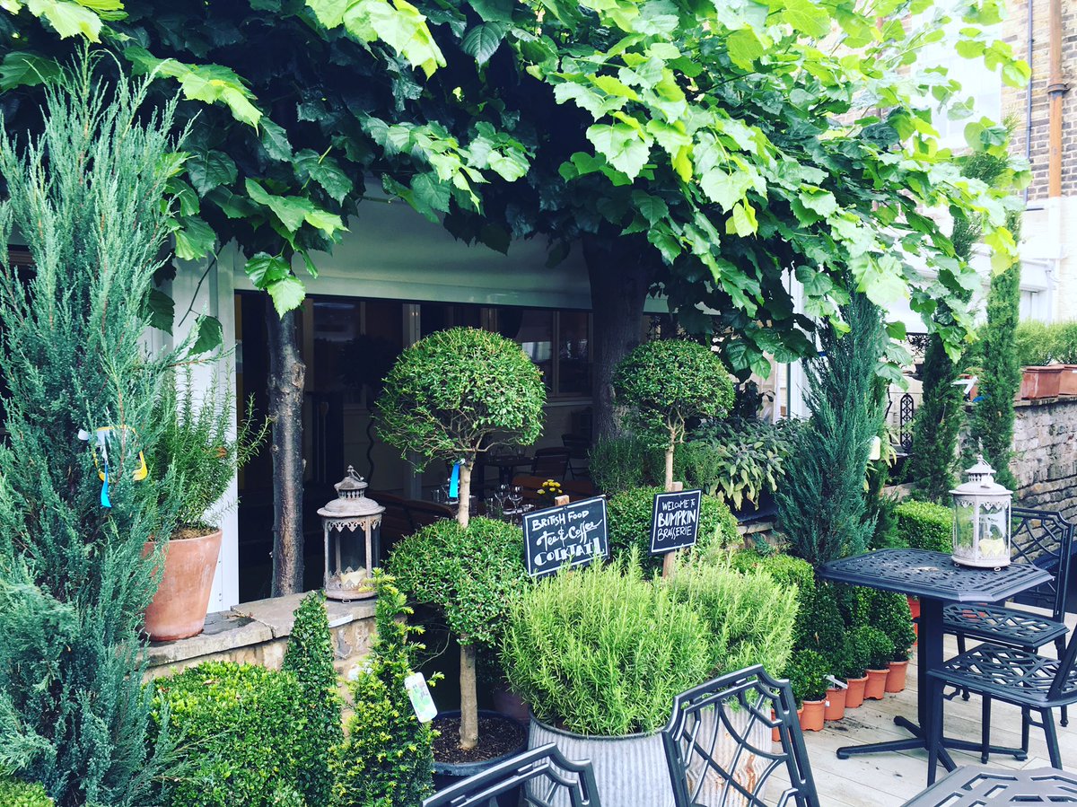 ldnistatravels's tweet photo. #hellothere #cheeky #secretgarden #hidden in #Chelsea belongs to @BumpkinLondon #highlyrecemond their #fabmenu https://t.co/3qdC6WXJy0