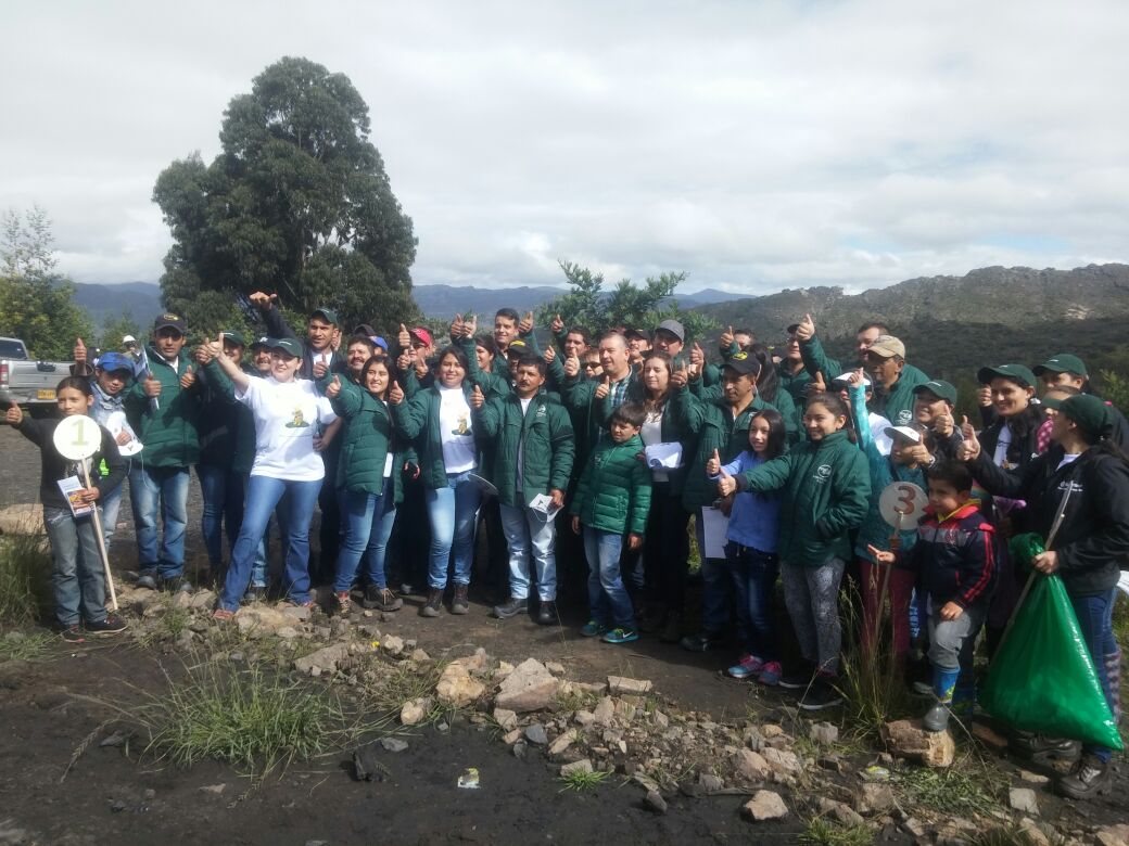 NCotame's tweet photo. @ANMColombia @paisminero  #mineriabienhecha sembramos 20000 árboles nativos en el Primer Festival Minero Ambiental https://t.co/jng6Anzcgv